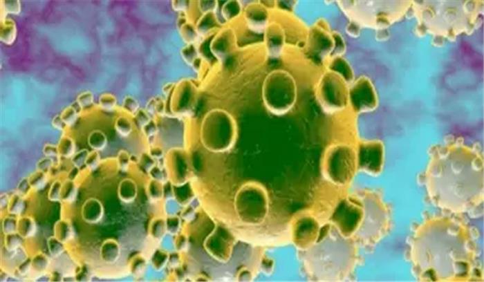 गया जंक्शन पर उतारा गया जापान का कोरोना संदिग्ध मरीज