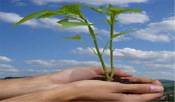 जीडीए द्वारा पर्यावरण दिवस पर किया गया वृक्षारोपण