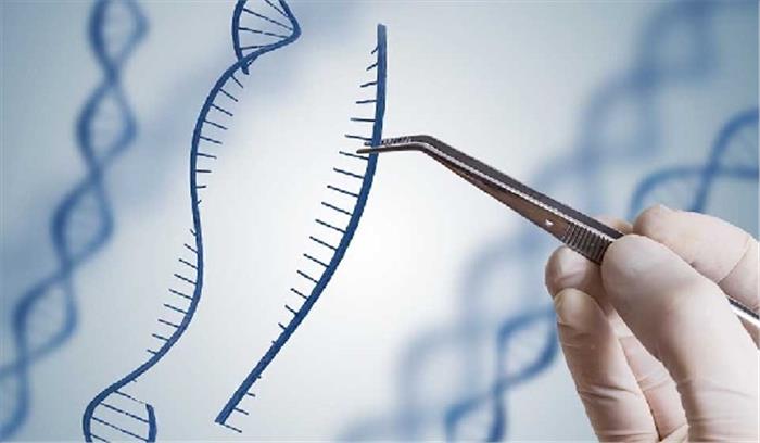 जीन थेरेपी से थैलेसीमिया से पीड़ित लोगों का इलाज संभव