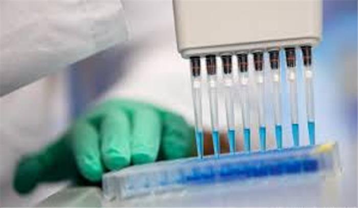 जर्मनी 5 देशों के साथ लगतीं सीमाएं बंद करेगा