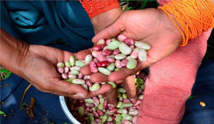 खाद्य संकट से जूझ रहे आठ करोड़ से ज्यादा लोग