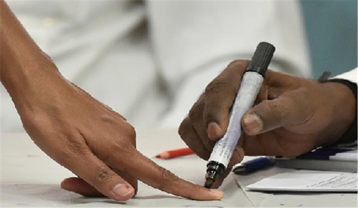 गोवा : पंचायत चुनाव के लिए मतदान जारी