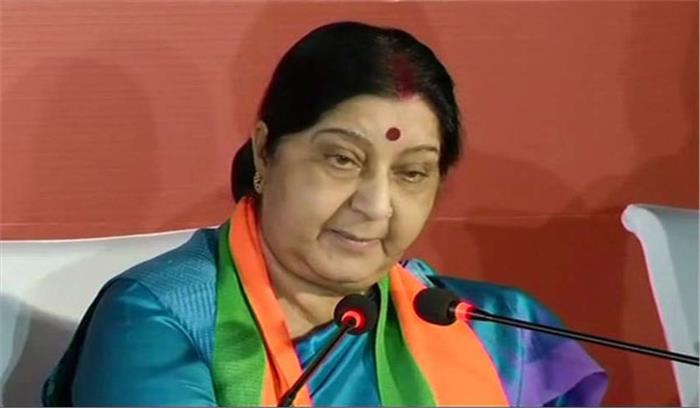 ‘गुगली’ मसले पर सुषमा ने लगाई कुरैशी को फटकार