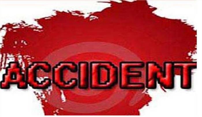 अज्ञात वाहन की टक्कर से 7 गौवंशों की मौत