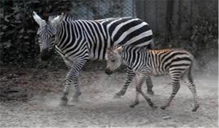 बंगाल में सभी 12 चिड़ियाघर और राष्ट्रीय पुस्तकालय 31 मार्च तक बंद