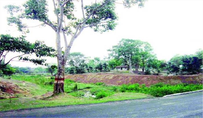 नाले पर बना दिया तालाब