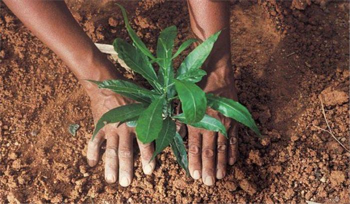 पौधा रोपण कर बच्चों ने पर्यावरण के प्रति किया जागरूक