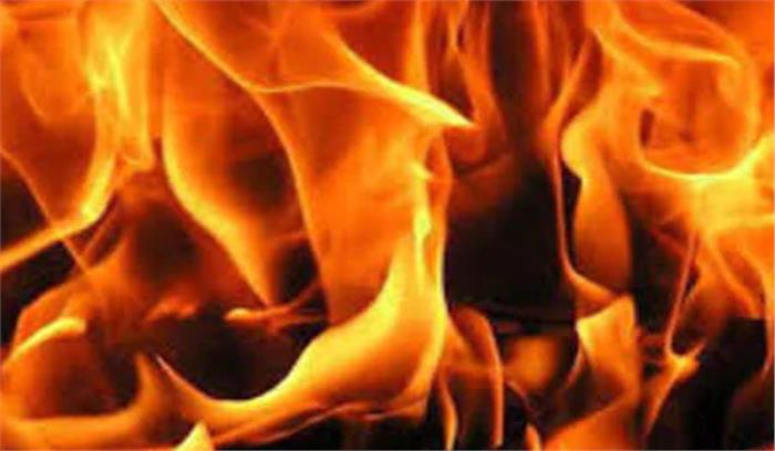 गुजरात: पशुओं के लिए रखे घास में लगी आग