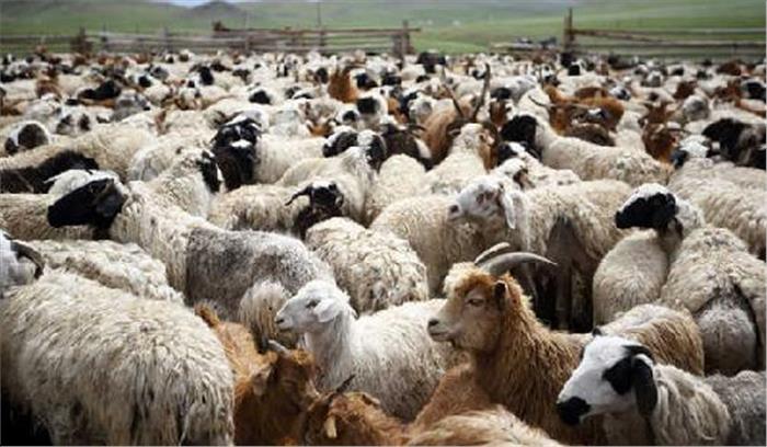 गुजरात : बिजली गिरने से 93 पशुओं की मौत