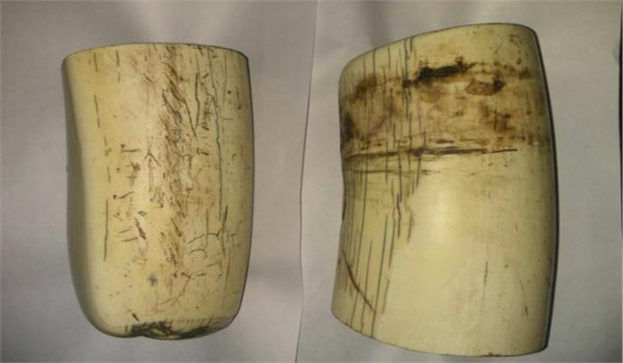 गुवाहाटी रेलवे स्टेशन के समीप हाथीदांत के 24 टुकड़े बरामद