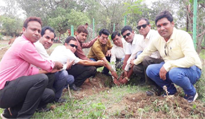 संविलियन आदेश जारी होने पर पौधे लगाकर  मनाई खुशी