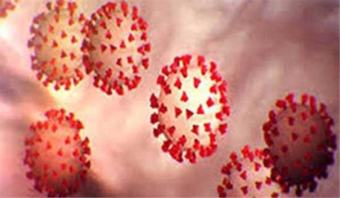 हरियाणा विस. की विभिन्न समितियों का गठन, गुप्ता नियम समिति के पदेन अध्यक्ष