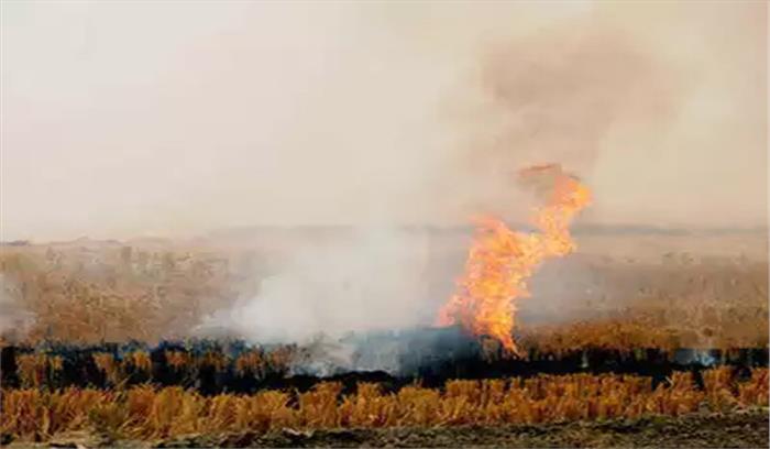 हरियाणा सरकार का दावा, 2018 में पराली जलाने में आई कमी