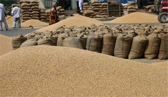 सरकार की खरीद एजेंसियों ने हरियाणा के किसानों से 77.5 लाख टन गेहूं खरीदा