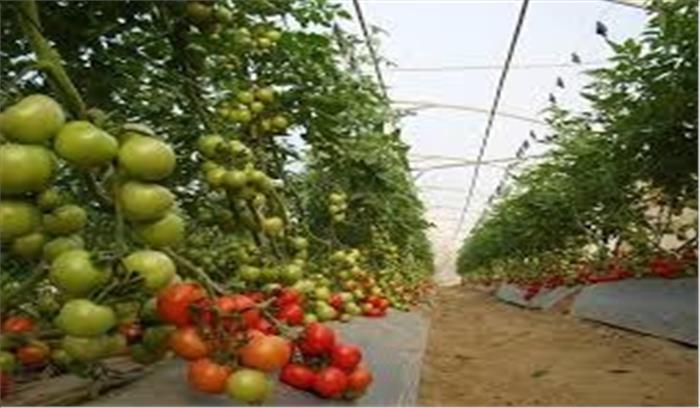 हरियाणा के हर जिले में खुलेगा बागवानी उत्कृष्टता केंद्र