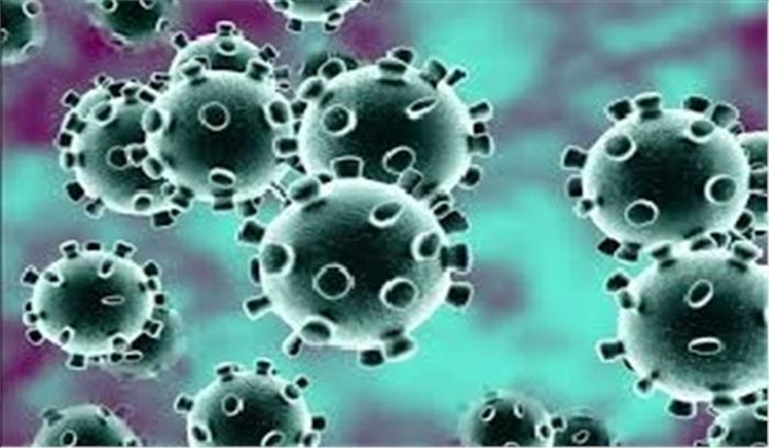 हरियाणा में कोरोना के पांच नये मामले, कुल संख्या 301 हुई लेकिन सक्रिय मामले घटे