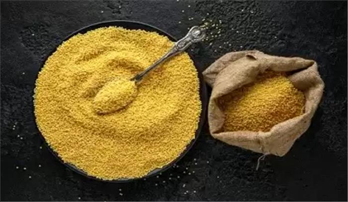 हरियाणा में बाजरे की फसल में नई बीमारी की पहचान हरियाणा में बाजरे की फसल में नई बीमारी की पहचान