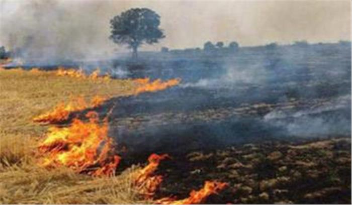 फसल अवशेष जलाने पर 123 किसानों के खिलाफ मामले दर्ज