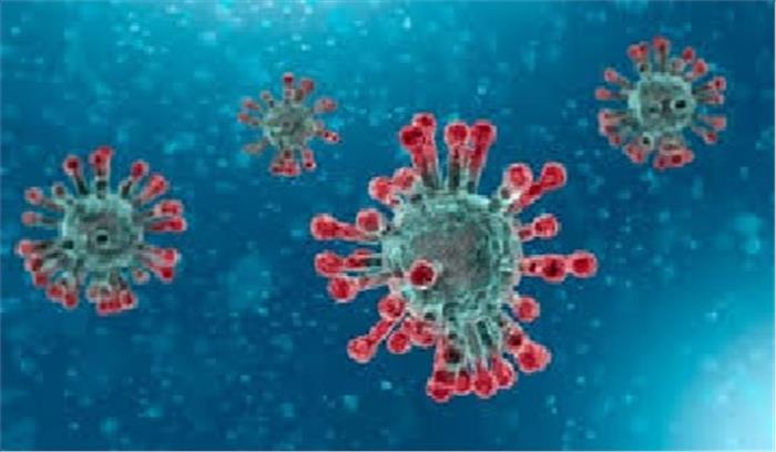 इंदौर में कोरोना के 117 नए मामले, कुल मरीज 544 हुए इंदौर में कोरोना के 117 नए मामले, कुल मरीज 544 हुए