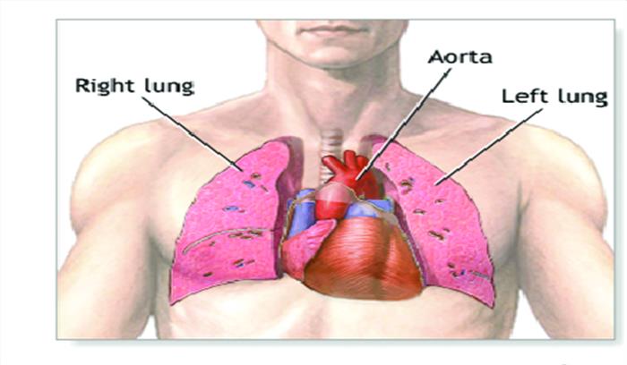 हृदय व फेफड़े सर्जरी के लिए परामर्श देंगे डॉ. पिल्ले