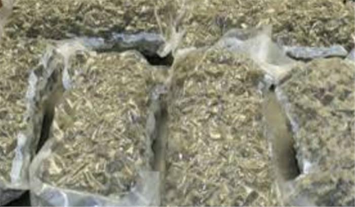  बिहार में 500 किलोग्राम गांजा बरामद 