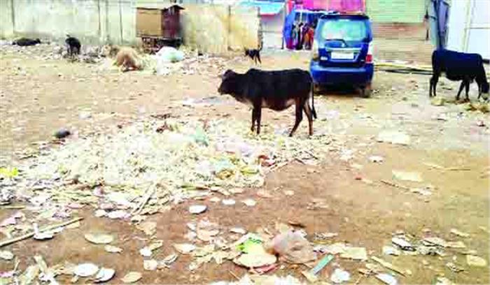 आयोजन के बाद हाईस्कूल मैदान बदला कूड़ादान में