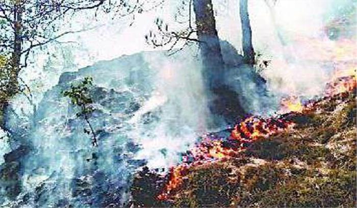 हिमाचल प्रदेश में उच्च तापमान वनों के लिए खतरा बन गया है
