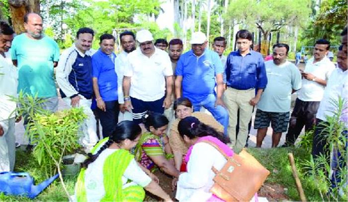 पर्यावरण दिवस पर महापौर-सभापति व आयुक्तने लगाए पौधे