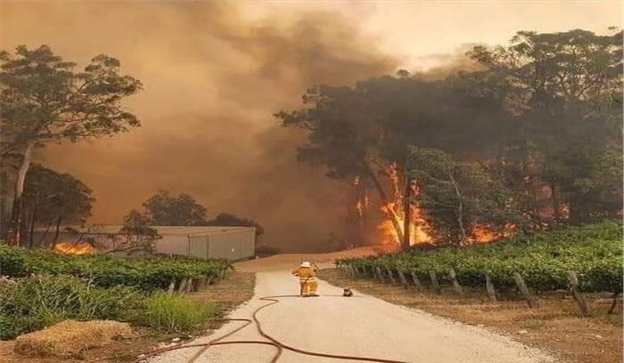 हॉकी इंडिया ने रेड क्रॉस बुशफायर अपील में दिया दान