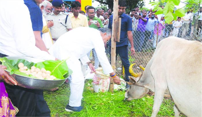 गृह मंत्री ताम्रध्वज साहू ने 11 गौठानों का लोकार्पण किया 