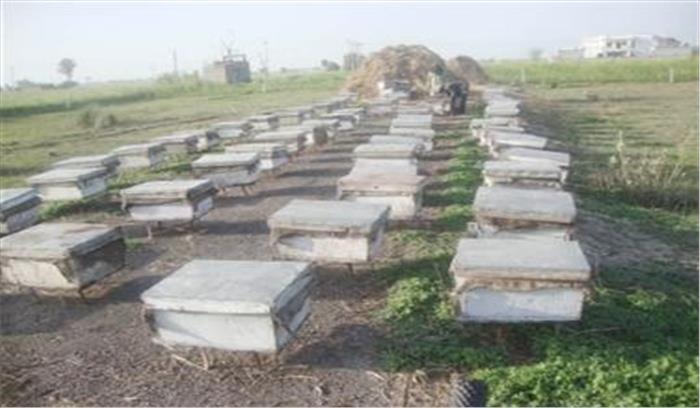 परिषद् के उद्यानों, विद्यालयों व नर्सरियों में लगेंगे शहद के छत्ते
