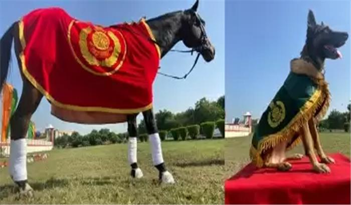 आईटीबीपी ने सर्वश्रेष्ठ के-9 सेवा के कुत्ते, घोड़े को दिए मेडल