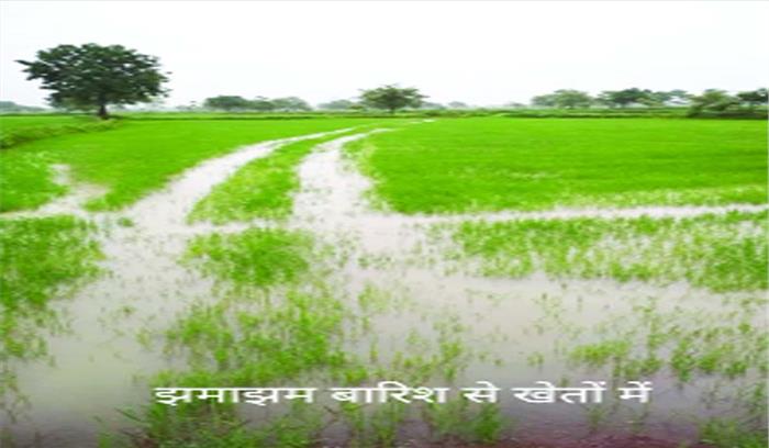 खरोरा : बारिश से किसानों के चेहरे खिले