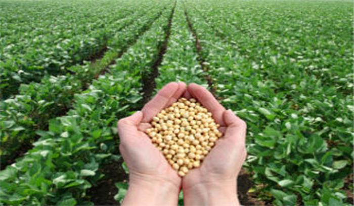 भारत ने चीन को दिया सोयाबीन निर्यात का प्रस्ताव