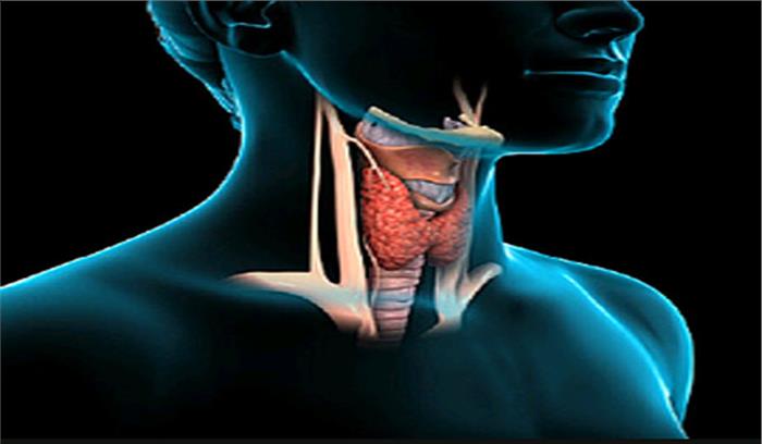 भारत में बढ़ रही है थायरॉइड के मरीजों की संख्या​​​​​​​