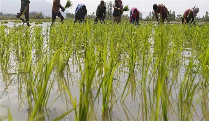 किसानों के लिए खुशखबरी ,इस मानसून में जमकर होगी बारिश