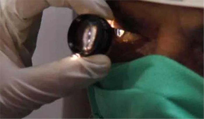 देश भर में ब्लैक फंगस के 8,000 से अधिक मामले