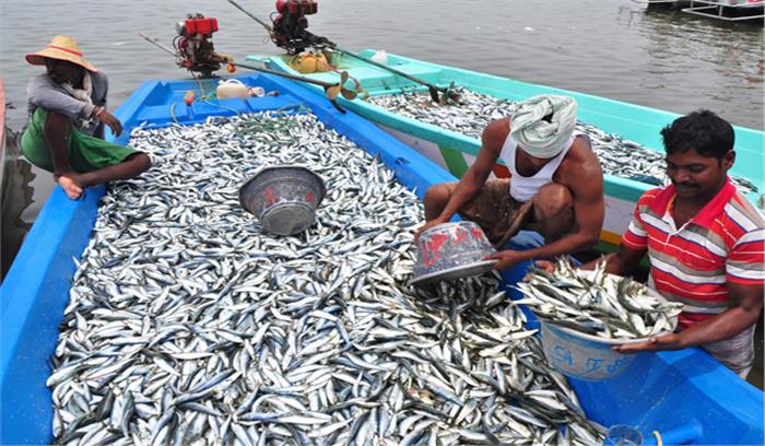 भारत में समुद्री मछली उत्पादन 5.6 फीसदी बढ़ा