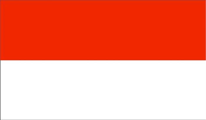 इंडोनेशिया में नौका पलटने से 7 लोगों की मौत