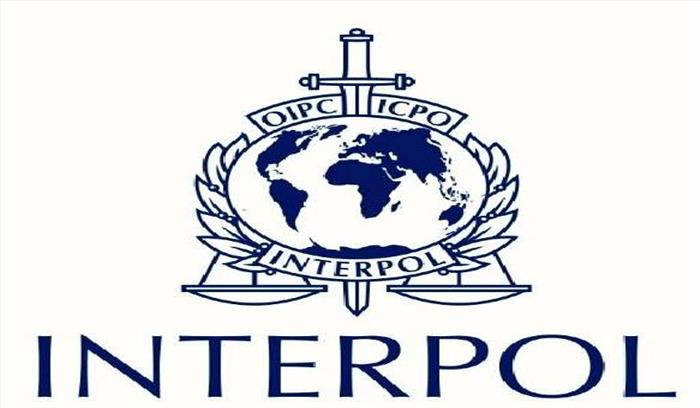 आतंकवादी महत्वपूर्ण अवसंरचनाओं पर ड्रोन से हमला कर सकते हैं:  इंटरपोल​​​​​​​