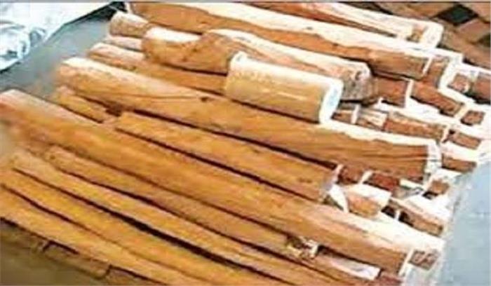 मध्यप्रदेश :अंतर्राज्यीय चंदन तस्कर गिरोह पकड़ाया, आठ लाख का चंदन जब्त