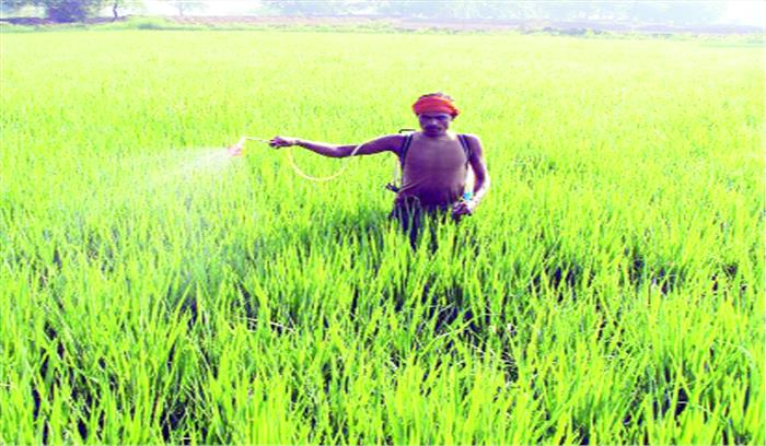 सिंचाई सुविधा फिर भी नहीं बढ़ा रबी का रकबा