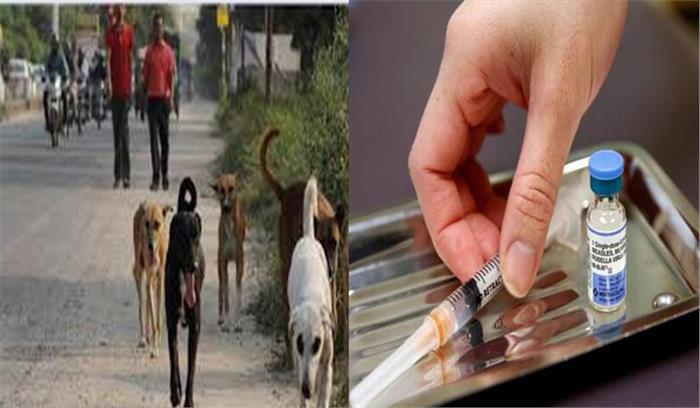 पाकिस्तान रेबीज-रोधी, विष-रोधी दवाइयों के लिए भारत पर निर्भर : रिपोर्ट