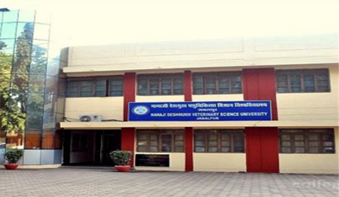 मप्र: कुलपति के खिलाफ बलात्कार का प्रकरण दर्ज