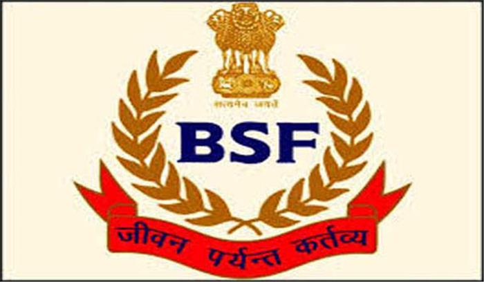 वर्ष 2019 बीएसएफ के लिए चुनौतीपूर्ण रहा वर्ष 2019 बीएसएफ के लिए चुनौतीपूर्ण रहा