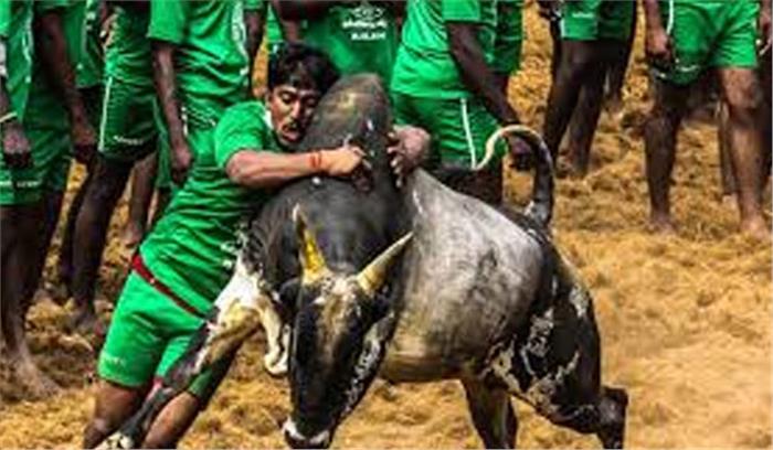 जलीकट्टू : तमिलनाडु में हालात हुए सामान्य