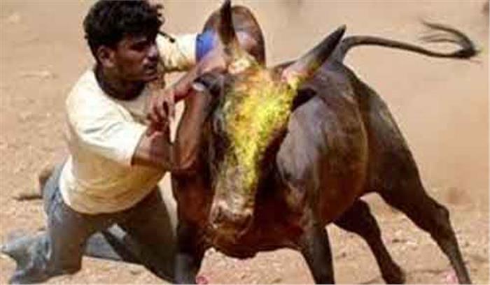 जल्लीकट्टू अध्यादेश को केन्द्र सरकार की हरी झंडी