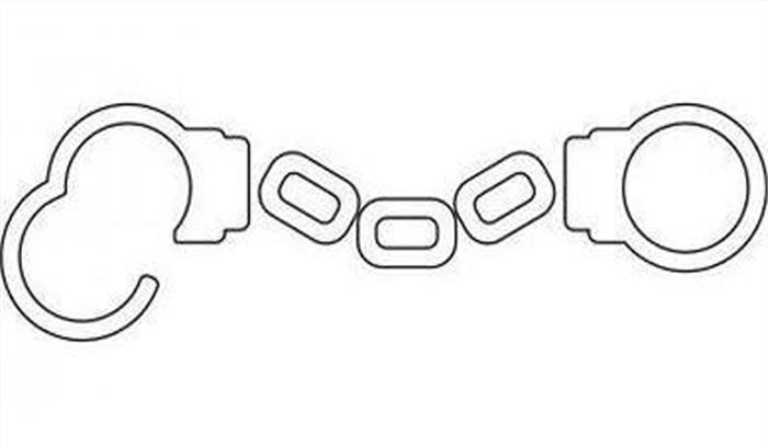 जमातियों को गोली मारने की बात कहने वाली शकुन पांडे गिरफ्तार