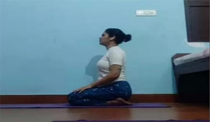 जामिया में अंतर्राष्ट्रीय योग दिवस पर संस्कृत विभाग ने किया वेबिनार का आयोजन