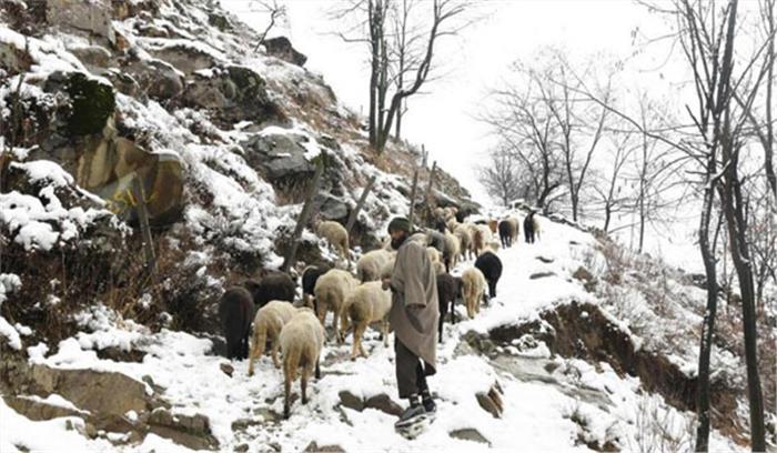 आतंकी मुठभेड़ के बाद श्रीनगर के बाहरी इलाकों में जन जीवन सामान्य आतंकी मुठभेड़ के बाद श्रीनगर के बाहरी इलाकों में जन जीवन सामान्य